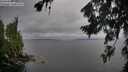 ./images/koeye/fitz-hugh/20260731/fitz-hugh20260731_140002M.jpg