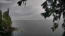 ./images/koeye/fitz-hugh/20260731/fitz-hugh20260731_141001M.jpg