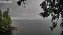 ./images/koeye/fitz-hugh/20260731/fitz-hugh20260731_142001M.jpg