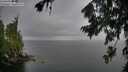 ./images/koeye/fitz-hugh/20260731/fitz-hugh20260731_143001M.jpg
