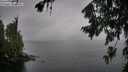./images/koeye/fitz-hugh/20260731/fitz-hugh20260731_144002M.jpg