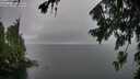 ./images/koeye/fitz-hugh/20260731/fitz-hugh20260731_145001M.jpg