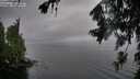 ./images/koeye/fitz-hugh/20260731/fitz-hugh20260731_150501M.jpg