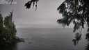 ./images/koeye/fitz-hugh/20260731/fitz-hugh20260731_152002M.jpg