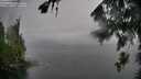 ./images/koeye/fitz-hugh/20260731/fitz-hugh20260731_153501M.jpg
