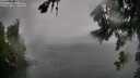 ./images/koeye/fitz-hugh/20260731/fitz-hugh20260731_155002M.jpg