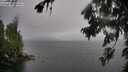 ./images/koeye/fitz-hugh/20260731/fitz-hugh20260731_160001M.jpg