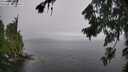 ./images/koeye/fitz-hugh/20260731/fitz-hugh20260731_160502M.jpg