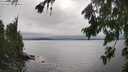 ./images/koeye/fitz-hugh/20260731/fitz-hugh20260731_162501M.jpg