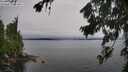 ./images/koeye/fitz-hugh/20260731/fitz-hugh20260731_164502M.jpg