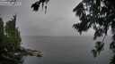 ./images/koeye/fitz-hugh/20260731/fitz-hugh20260731_173501M.jpg