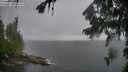 ./images/koeye/fitz-hugh/20260731/fitz-hugh20260731_183501M.jpg