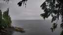 ./images/koeye/fitz-hugh/20260731/fitz-hugh20260731_193502M.jpg