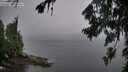 ./images/koeye/fitz-hugh/20260731/fitz-hugh20260731_194502M.jpg