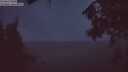 ./images/koeye/fitz-hugh/20260801/fitz-hugh20260801_051001M.jpg