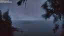 ./images/koeye/fitz-hugh/20260801/fitz-hugh20260801_053002M.jpg