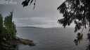 ./images/koeye/fitz-hugh/20260801/fitz-hugh20260801_062502M.jpg