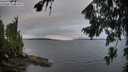 ./images/koeye/fitz-hugh/20260801/fitz-hugh20260801_064001M.jpg
