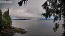 ./images/koeye/fitz-hugh/20260801/fitz-hugh20260801_071001M.jpg