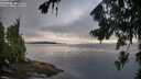 ./images/koeye/fitz-hugh/20260801/fitz-hugh20260801_073501M.jpg