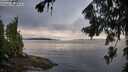 ./images/koeye/fitz-hugh/20260801/fitz-hugh20260801_074001M.jpg