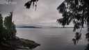 ./images/koeye/fitz-hugh/20260801/fitz-hugh20260801_075002M.jpg