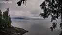 ./images/koeye/fitz-hugh/20260801/fitz-hugh20260801_075501M.jpg