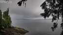 ./images/koeye/fitz-hugh/20260801/fitz-hugh20260801_081001M.jpg