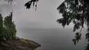 ./images/koeye/fitz-hugh/20260801/fitz-hugh20260801_090002M.jpg