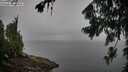 ./images/koeye/fitz-hugh/20260801/fitz-hugh20260801_090501M.jpg