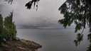 ./images/koeye/fitz-hugh/20260801/fitz-hugh20260801_093001M.jpg