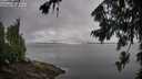 ./images/koeye/fitz-hugh/20260801/fitz-hugh20260801_095001M.jpg