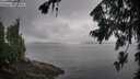 ./images/koeye/fitz-hugh/20260801/fitz-hugh20260801_095501M.jpg