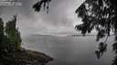 ./images/koeye/fitz-hugh/20260801/fitz-hugh20260801_100001M.jpg