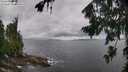 ./images/koeye/fitz-hugh/20260801/fitz-hugh20260801_121002M.jpg