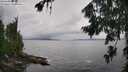 ./images/koeye/fitz-hugh/20260801/fitz-hugh20260801_130002M.jpg