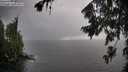 ./images/koeye/fitz-hugh/20260801/fitz-hugh20260801_155501M.jpg