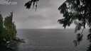 ./images/koeye/fitz-hugh/20260801/fitz-hugh20260801_163001M.jpg
