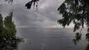./images/koeye/fitz-hugh/20260801/fitz-hugh20260801_165002M.jpg
