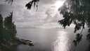 ./images/koeye/fitz-hugh/20260801/fitz-hugh20260801_182002M.jpg