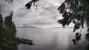 ./images/koeye/fitz-hugh/20260801/fitz-hugh20260801_182501M.jpg