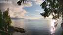 ./images/koeye/fitz-hugh/20260801/fitz-hugh20260801_194501M.jpg