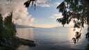 ./images/koeye/fitz-hugh/20260801/fitz-hugh20260801_195002M.jpg