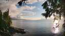 ./images/koeye/fitz-hugh/20260801/fitz-hugh20260801_195501M.jpg