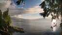 ./images/koeye/fitz-hugh/20260801/fitz-hugh20260801_200001M.jpg