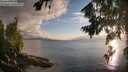 ./images/koeye/fitz-hugh/20260801/fitz-hugh20260801_201001M.jpg