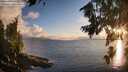 ./images/koeye/fitz-hugh/20260801/fitz-hugh20260801_203002M.jpg
