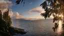 ./images/koeye/fitz-hugh/20260801/fitz-hugh20260801_203501M.jpg