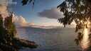 ./images/koeye/fitz-hugh/20260801/fitz-hugh20260801_204001M.jpg