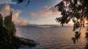./images/koeye/fitz-hugh/20260801/fitz-hugh20260801_205001M.jpg